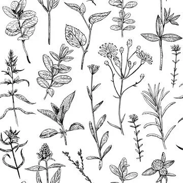 Seamless pattern with wild plants and flowers, vector illustration in engra.. Illustrazione stock