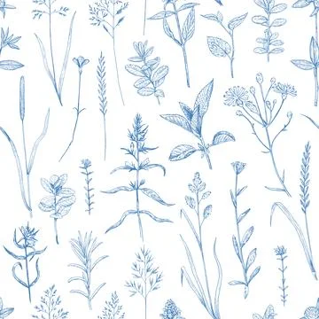 Seamless pattern with wild plants and flowers, vector illustration in engra.. Stock Illustration