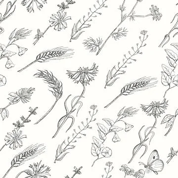 Seamless pattern with wild plants on a white background Stock Illustration
