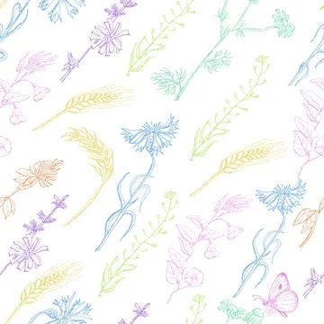 Seamless pattern with wild plants on a white background Stock Illustration