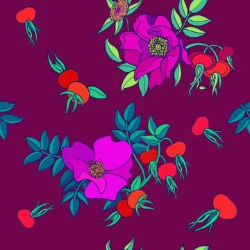 Seamless pattern wild rose hip flowers and berries. Vector illustration. Illustrazione stock