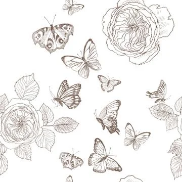 Seamless pattern of wild roses blossom branch and butterfly. Vintage botanical Stock Illustration