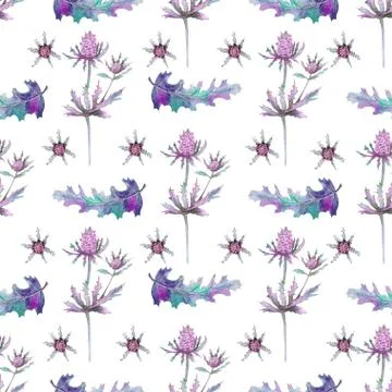Seamless pattern with wild Thistle flowers on a white background Floral patte Stock Illustration