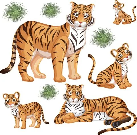 Seamless pattern with wild tiger in many poses on white background Stock Illustration