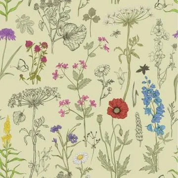 Seamless pattern with wild vector flowers Stock Illustration