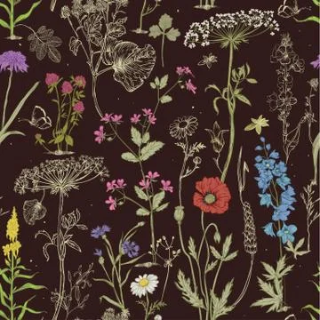 Seamless pattern with wild vector flowers Stock Illustration