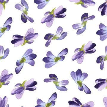 Seamless pattern of wild violet flowers, hand painted watercolor illustration 스톡 일러스트