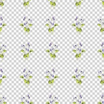 Seamless pattern of wild violet flowers, hand painted watercolor illustration Illustrazione stock