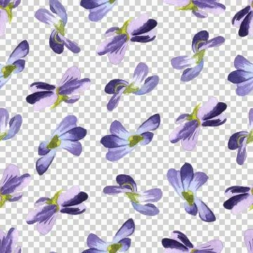 Seamless pattern of wild violet flowers, hand painted watercolor illustration 스톡 일러스트