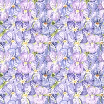 Seamless pattern from wild violets with green leaves. Hand drawn watercolor Stock Illustration