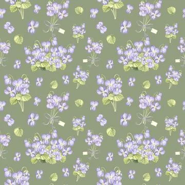 Seamless pattern from wild violets with green leaves. Hand drawn watercolor Illustrazione stock