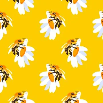 Seamless pattern wildflower daisy bee Plant flower graphic card Yellow poster 스톡 일러스트