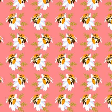 Seamless pattern wildflower daisy bees Garden flower graphic card Red poster Stock Illustration