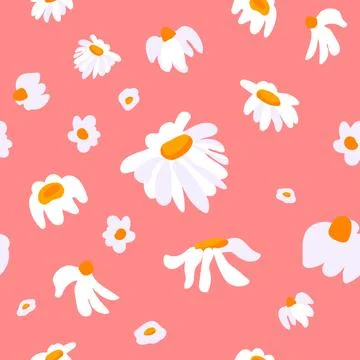 Seamless pattern wildflower daisy Plant flower graphic card Red poster banner Stock Illustration