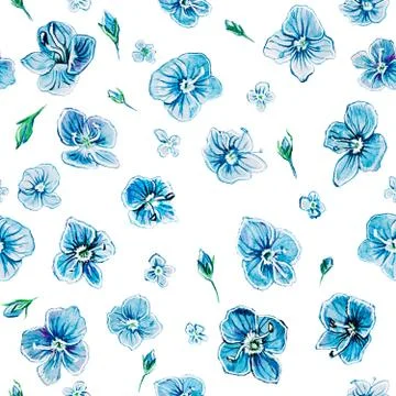 Seamless pattern with wildflower Veronica. Stock Illustration