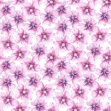 Seamless pattern with wildflowers. Stock Illustration