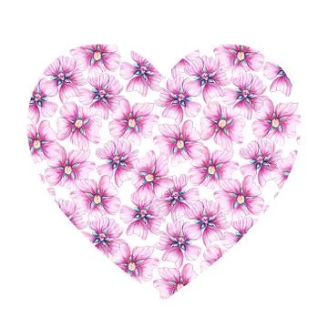 Seamless pattern with wildflowers. Stock Illustration