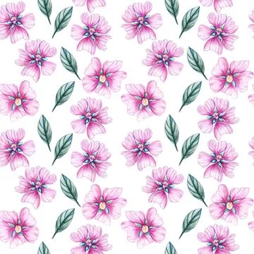 Seamless pattern with wildflowers. Stock Illustration