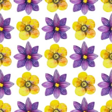 Seamless pattern with wildflowers on white background. Floral pattern for Wal Stock Illustration