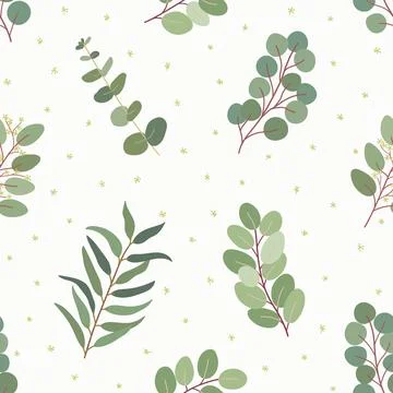 Seamless pattern of willow, spiral, seeded, silver dollar eucalyptus leaves.. Stock Illustration