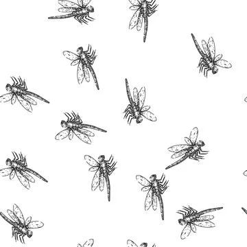 Seamless pattern wings dragonfly sketch hand drawn Stock Illustration