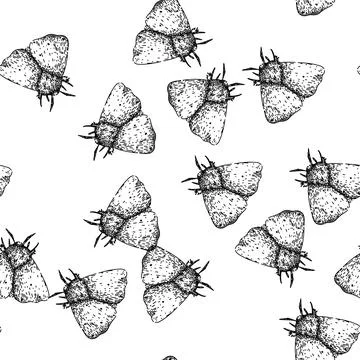 Seamless pattern wings night moth sketch hand drawn Stock Illustration