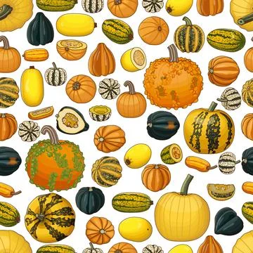 Seamless pattern. Winter squash. Clipart. Stock Illustration
