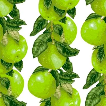 Seamless pattern witj citus fruit branch in green colors in vector Stock Illustration