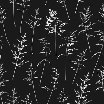 Seamless pattern witn delicate thin silhouettes of dry wild herbs. Stock Illustration