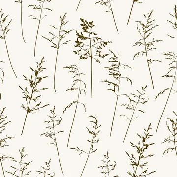 Seamless pattern witn delicate thin silhouettes of dry wild herbs. Stock Illustration