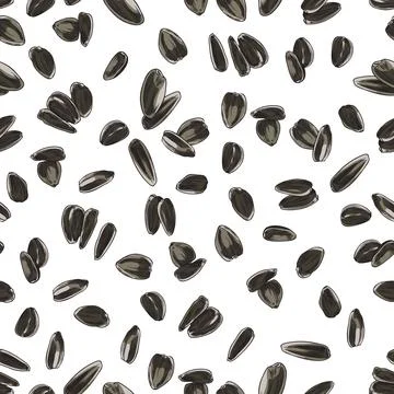 Seamless pattern wrapping design with sunflowers seeds vector illustration. Stock Illustration