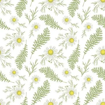Seamless pattern ws chamomile flowers, fern fronds Stock Illustration