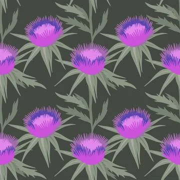 Seamless pattern ws Purple flowering Milk thistle Stock Illustration