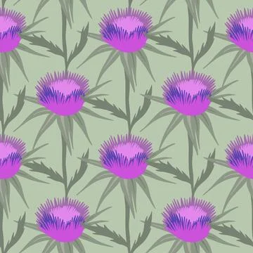 Seamless pattern ws Purple flowering Milk thistle Stock Illustration