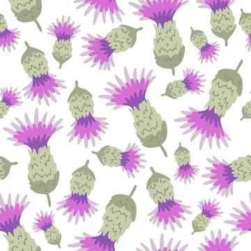 Seamless pattern ws Purple flowering Milk thistle Stock Illustration
