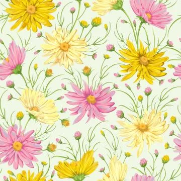 Seamless pattern with yellow and pink chamomile flowers. 스톡 일러스트