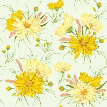 Seamless pattern with yellow chamomile flowers and millet. Stock Illustration