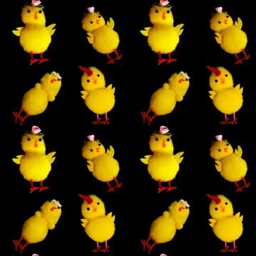Seamless pattern of yellow chickens isolated on a black background Stock Illustration