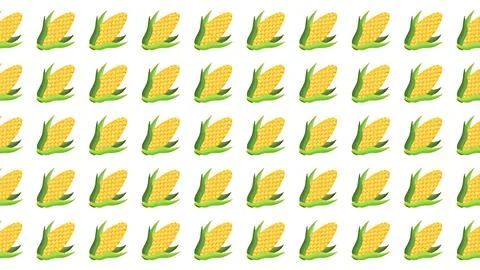 Seamless pattern of yellow corn on the cob with green husks isolated on whi.. Illustration