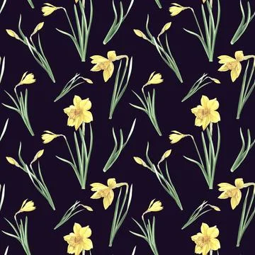Seamless pattern of yellow daffodils with green leaves on dark background. Hand Illustrazione stock