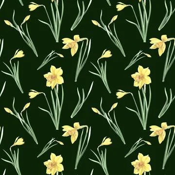 Seamless pattern of yellow daffodils with green leaves on dark background. Hand Illustrazione stock