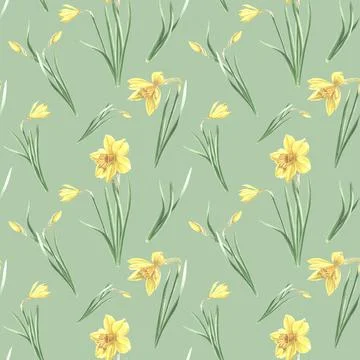Seamless pattern from yellow daffodils with leaves on green background. Hand Stock Illustration
