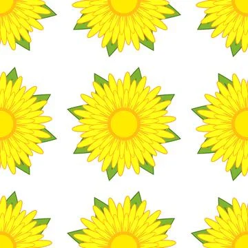 Seamless pattern of yellow flowers with green leaves on a white background Stock Illustration