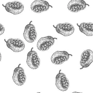 Seamless pattern yellow jackfruit sketch hand drawn 스톡 일러스트
