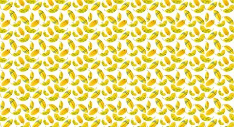 Seamless pattern with yellow leaves on a white background. 스톡 일러스트