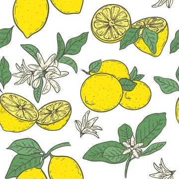 Seamless pattern with yellow lemon flowers and leaves vector illustration Illustrazione stock