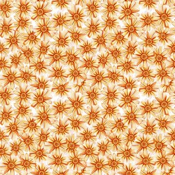 Seamless pattern with yellow orange daisies. Stock Illustration