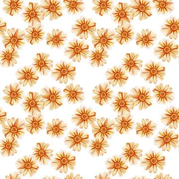 Seamless pattern with yellow orange daisies. Stock Illustration