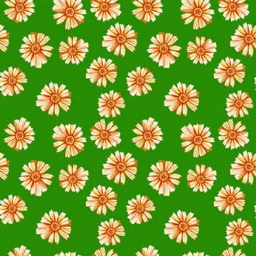 Seamless pattern with yellow orange daisies. Stock Illustration