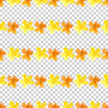 Seamless pattern of yellow orange flowers, hand drawn watercolor on white Illustrazione stock